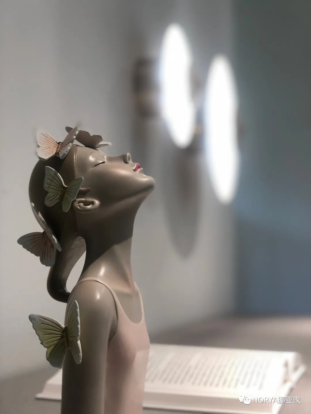 挪亚家开启都市生活新风潮