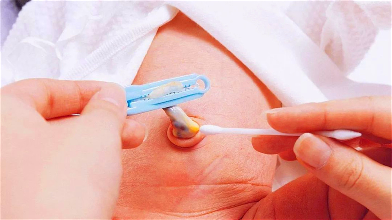 肚脐眼里的泥用显微镜放大,肚脐眼用显微镜放大1000倍