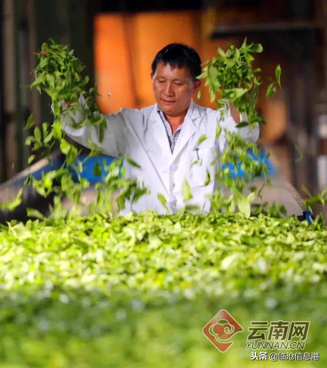 临沧国务院可持续发展创新示范区,临沧凤庆未来5年规划