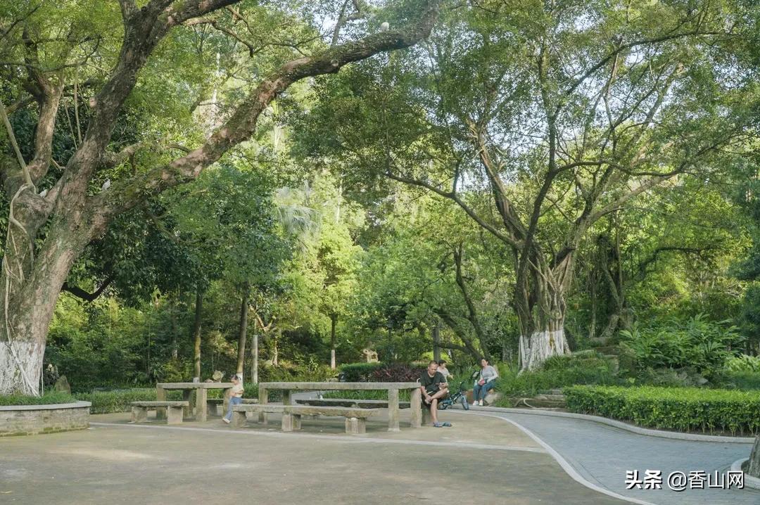 珠海鲜为人知的一面,珠海有名的花园