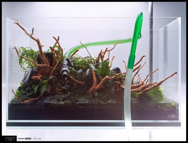 ada风格造景用什么底砂,鱼缸造景ada风格