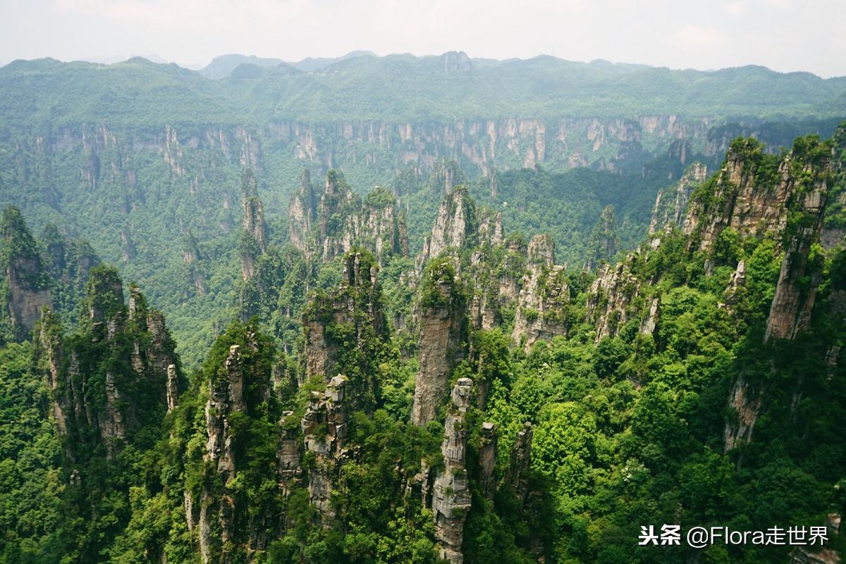 我们的侣行还在拍吗,我们的侣行2019破冰之旅