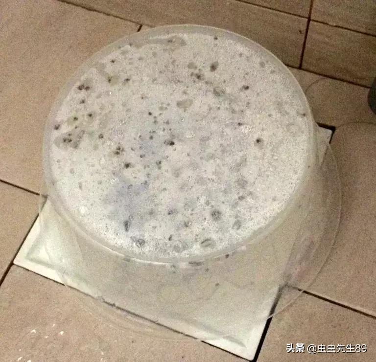 蹲便厕所小飞虫如何彻底消除,怎样消除厕所里的飞虫