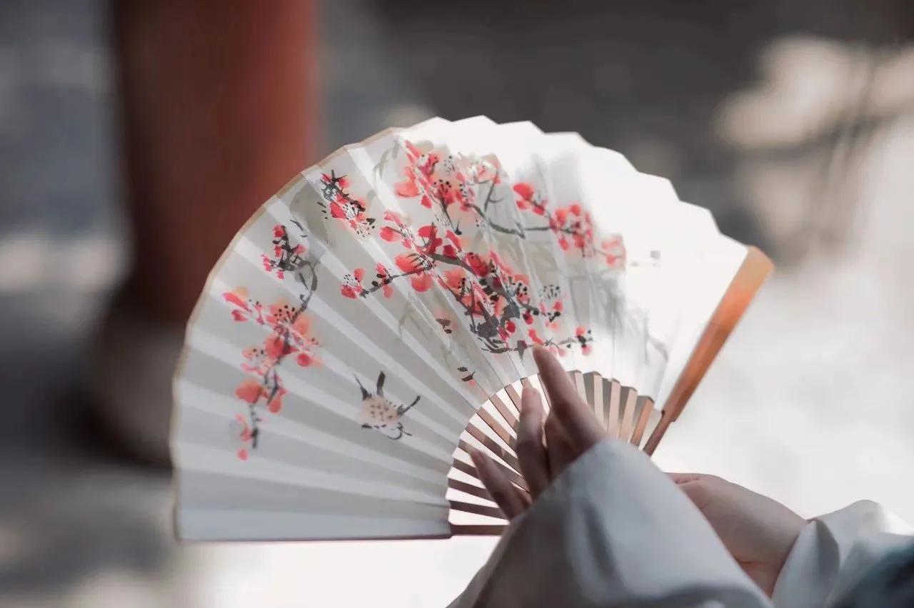 断舍离是我一生的必修课,断舍离才是后半生最好的活法