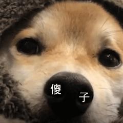 同学生活中搞笑的段子,同学录幽默搞笑段子