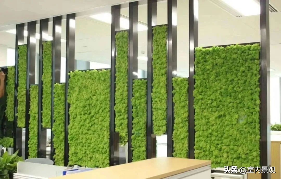 植物墙与永生植物墙不同,植物墙天然