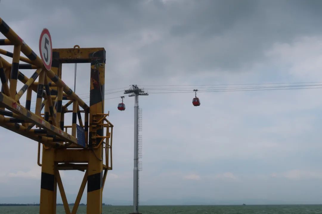 鏄嗘槑瑗垮北鍖鸿彍甯傚満,鏄嗘槑瑗垮北鍖烘槬澶忕鍐彍甯傚満