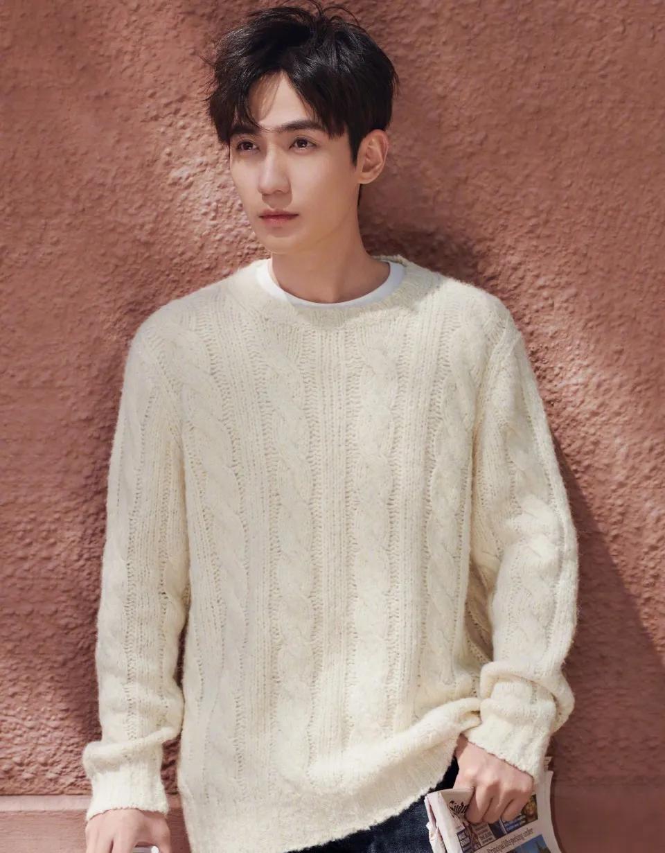 哪个男星演的狐狸精好看,长得像狐狸精的男明星