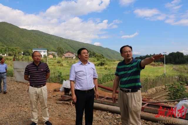 待到山花烂漫——追记“最美扶贫书记”黄诗燕