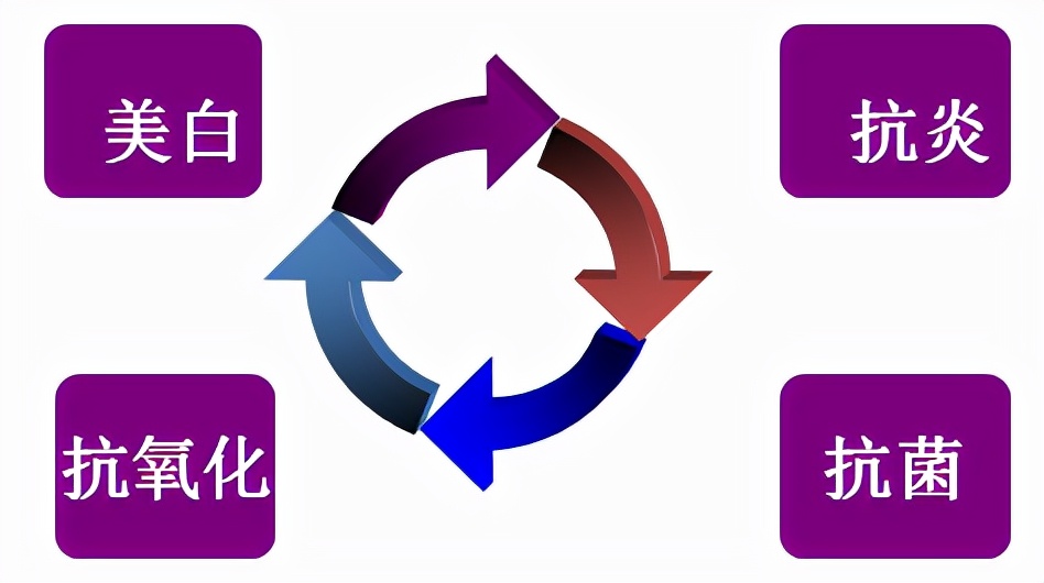 纽莱伊美美白精华烟酰胺淡斑,纽莱伊美美白祛斑精华使用方法