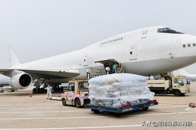 郑州欧洲专线,郑州至欧洲货运航线