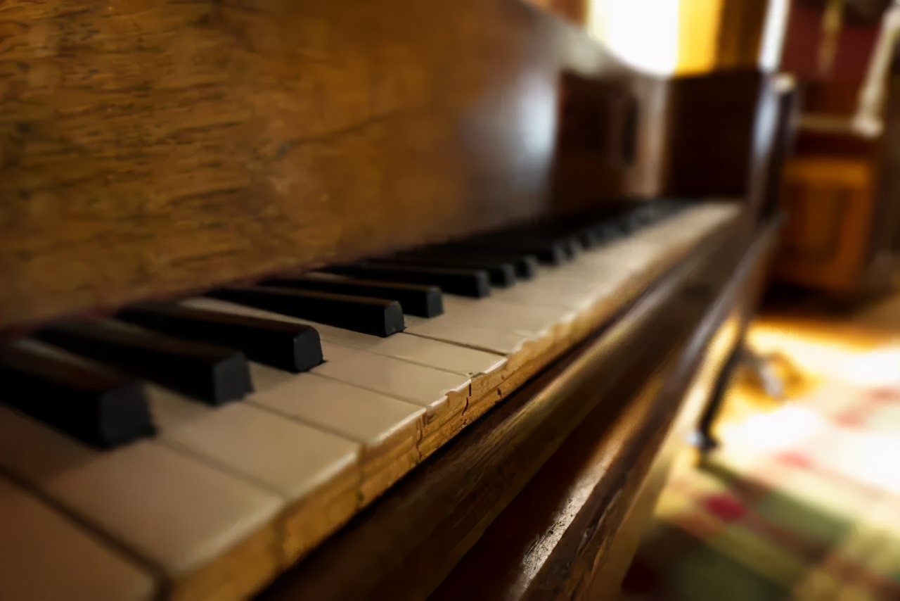 钢琴入门买电子琴还是电钢琴,初学者电钢琴怎么选