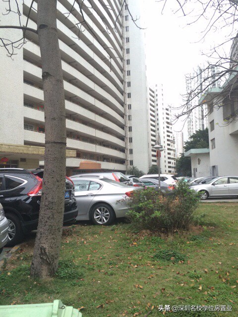 最新深圳百花片区学位房,深圳市福田区百花片区学位房
