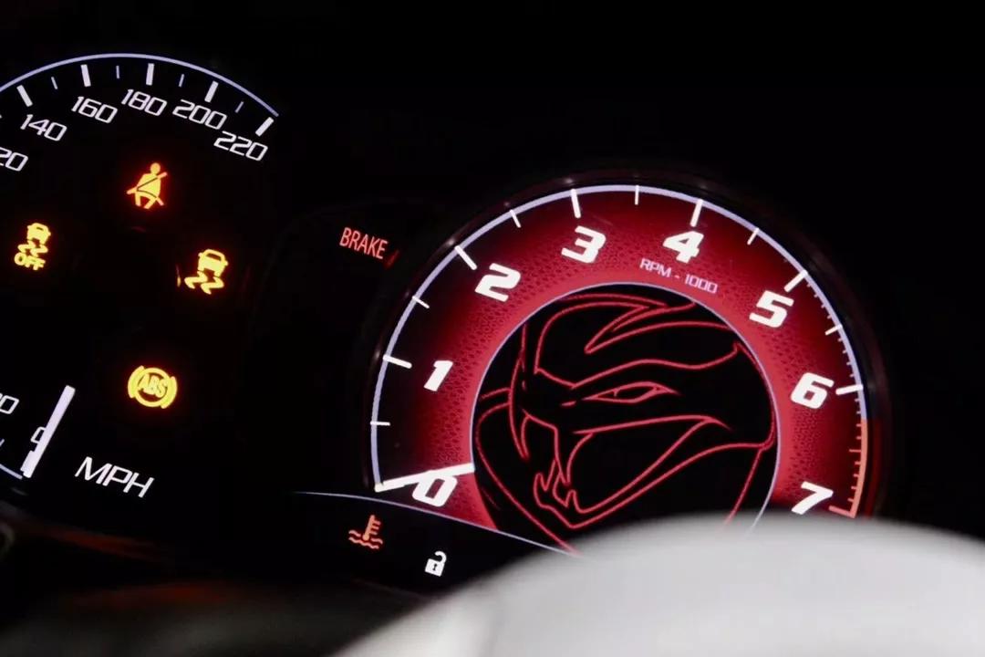 稀有蛇有哪些,道奇蝰蛇被称为什么