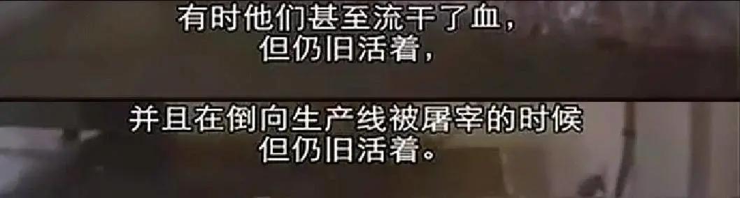 总统喊你来看片，这波硬核安利我吃了