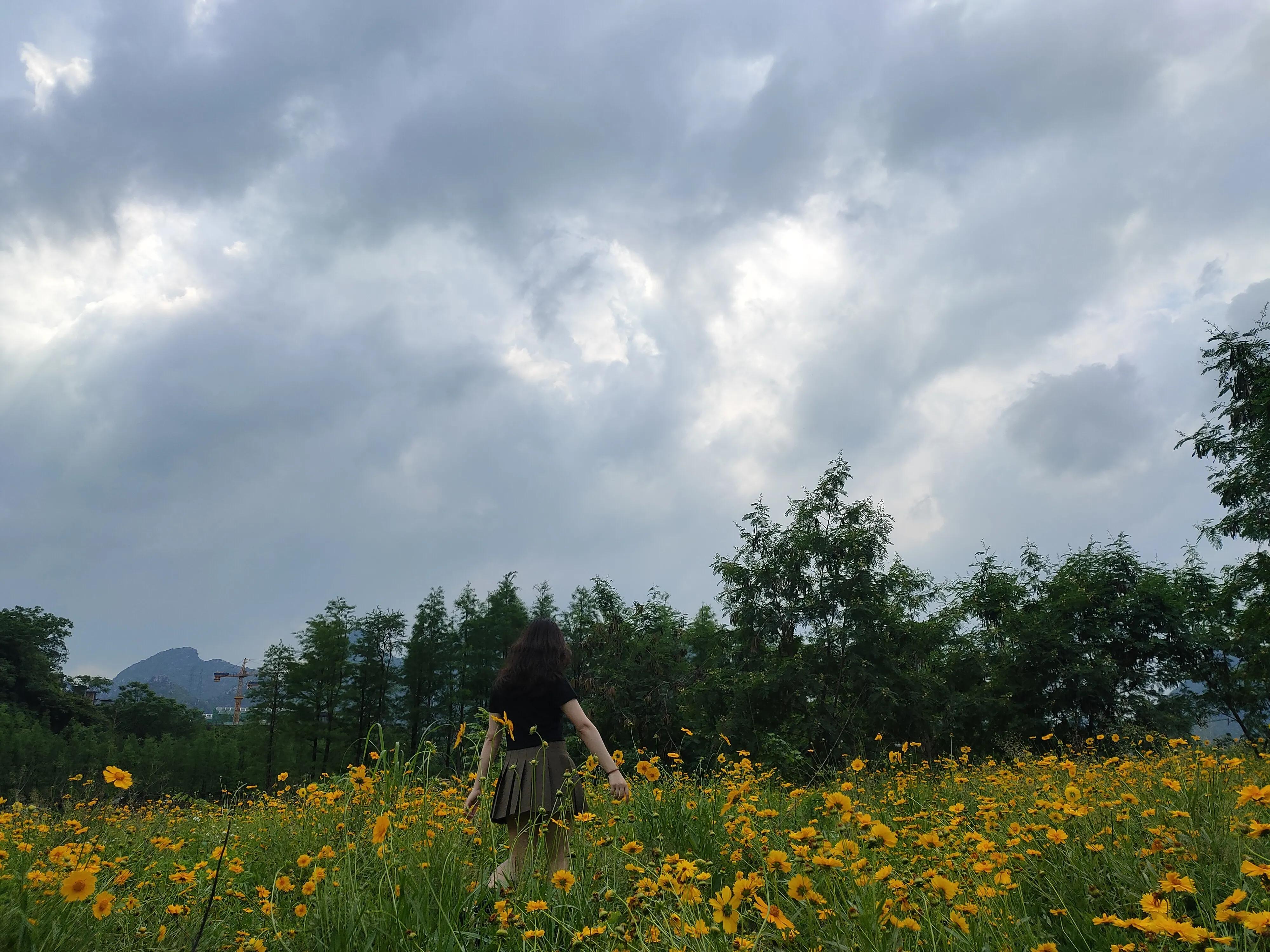 我不想异地恋了,我的异地恋