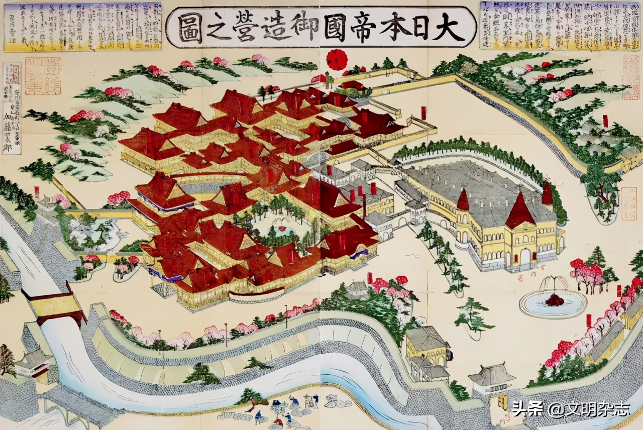 菊花王朝盛衰记,菊花王朝故事