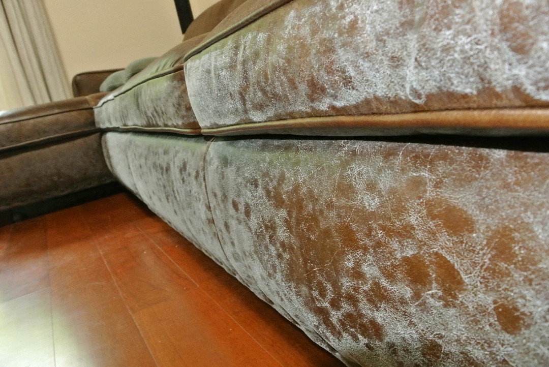 皮沙发怎么选？认准这3点，只要真皮不要仿皮