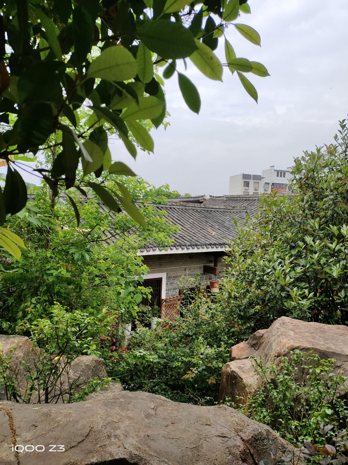 iqooz3性能强悍,iqooz3深度评测