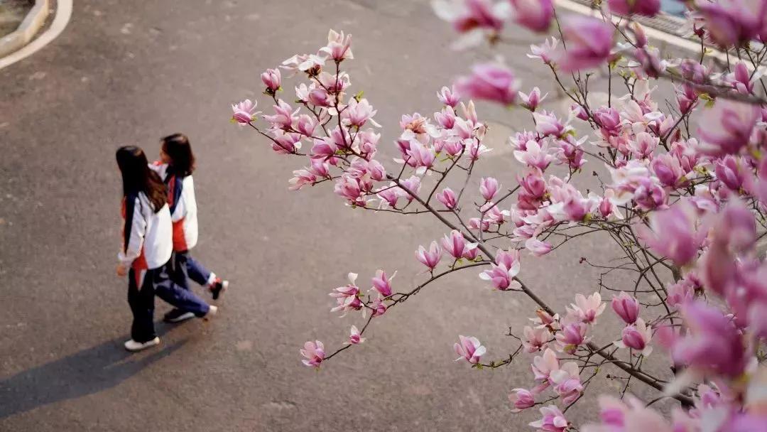 江苏南京外国语学校,南京外国语学校高二五班