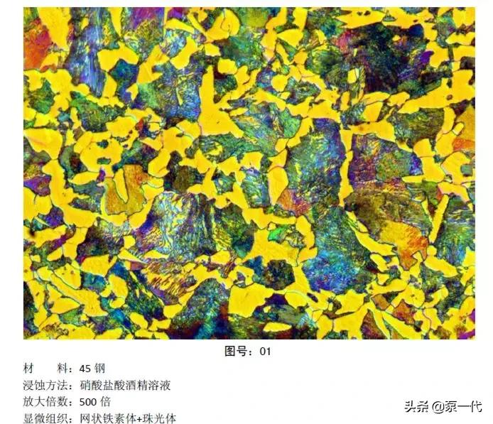 马氏体、奥氏体、珠光体,20种材料彩色金相,带你轻松识别