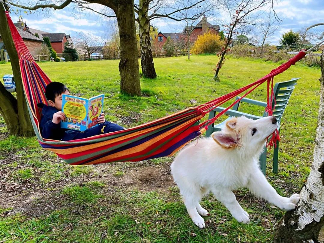 英国疫情防护物资,英国抗疫日记囤货记