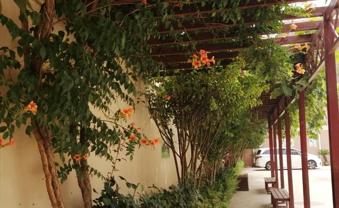 有家长点名想了解这所小学，“点一送一”结合《双减》都说透了