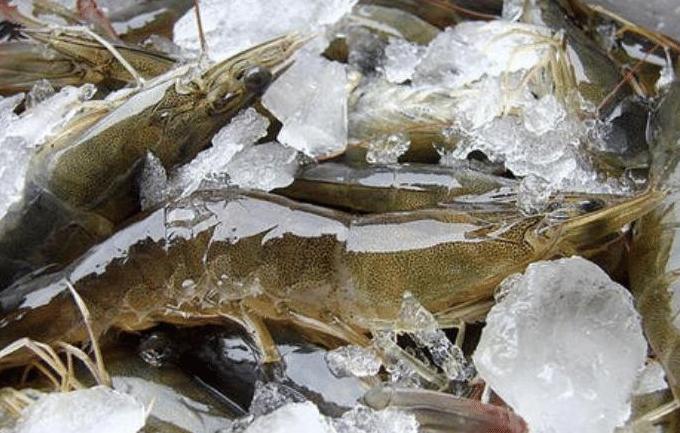 买大虾怎么挑选直的好还是弯的好,买大虾怎么冻好