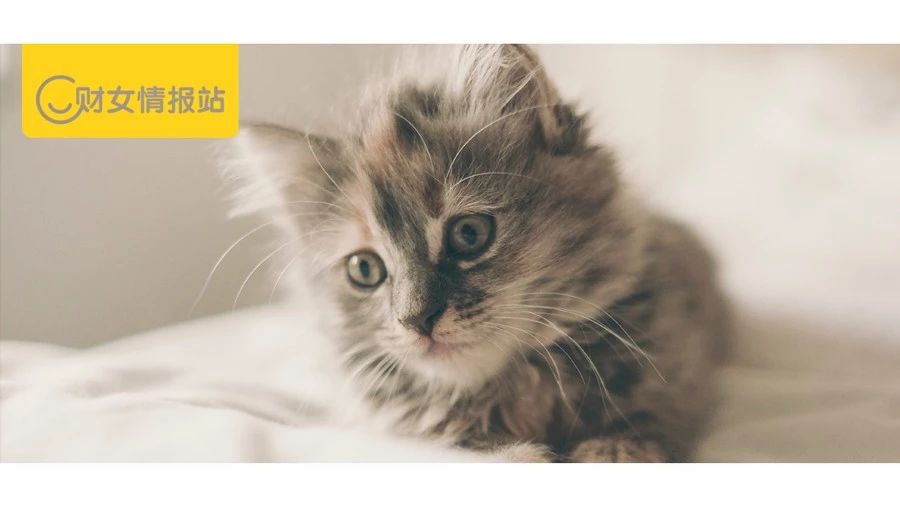 开鑫贷的核心优势是什么,开鑫贷理财产品有哪些