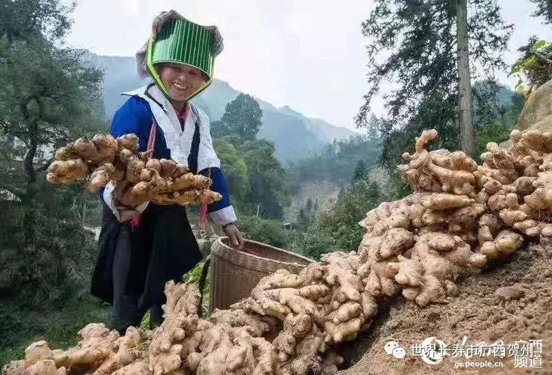 瑶族姑娘走出大山,来自广西桂林的瑶族姑娘