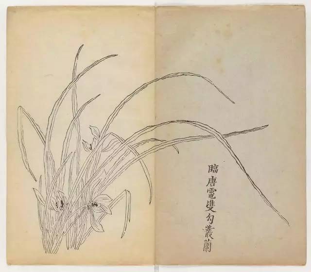 毛笔怎么画兰草,怎么画兰花和书法