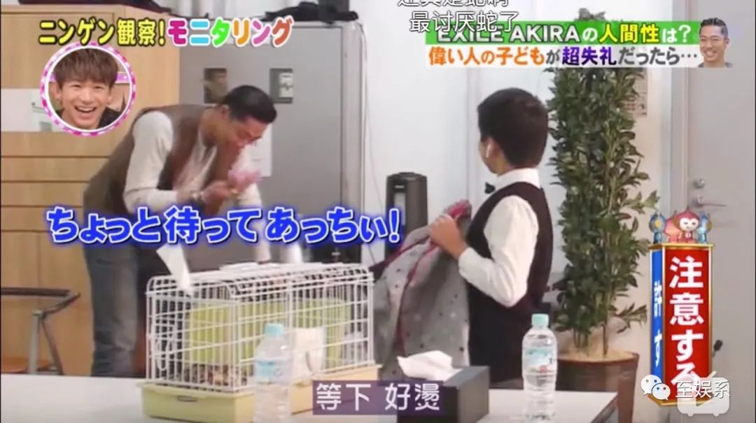 林志玲与老公般配吗,林志玲和老公怎么交流