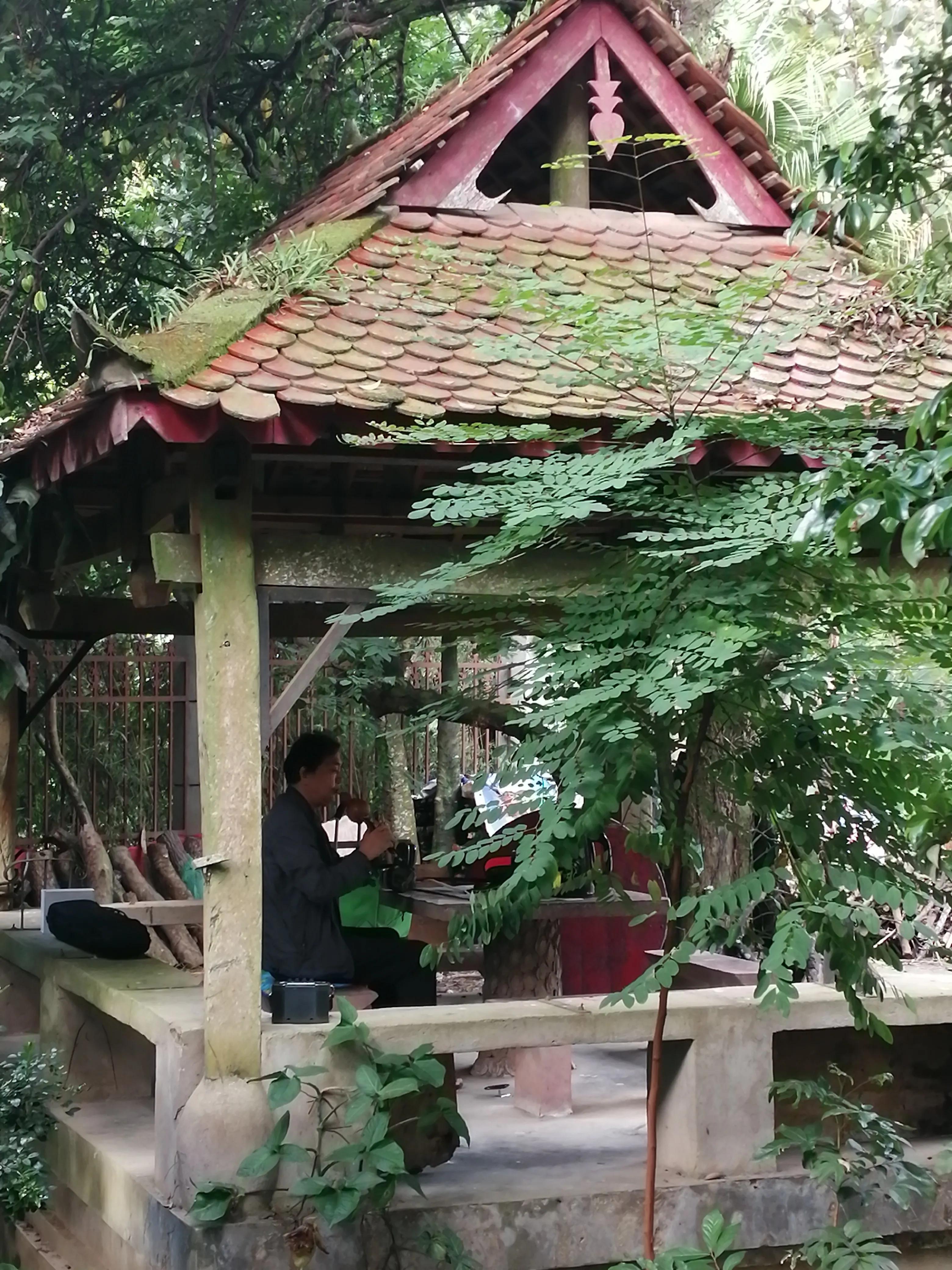 景洪市西双版纳风情园视频,西双版纳景洪市民族风情园