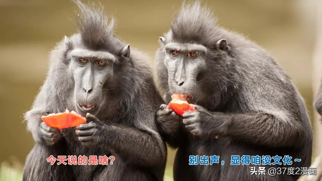 三国没你想象的落后！解方程、球体公式、飞行器了解下吧