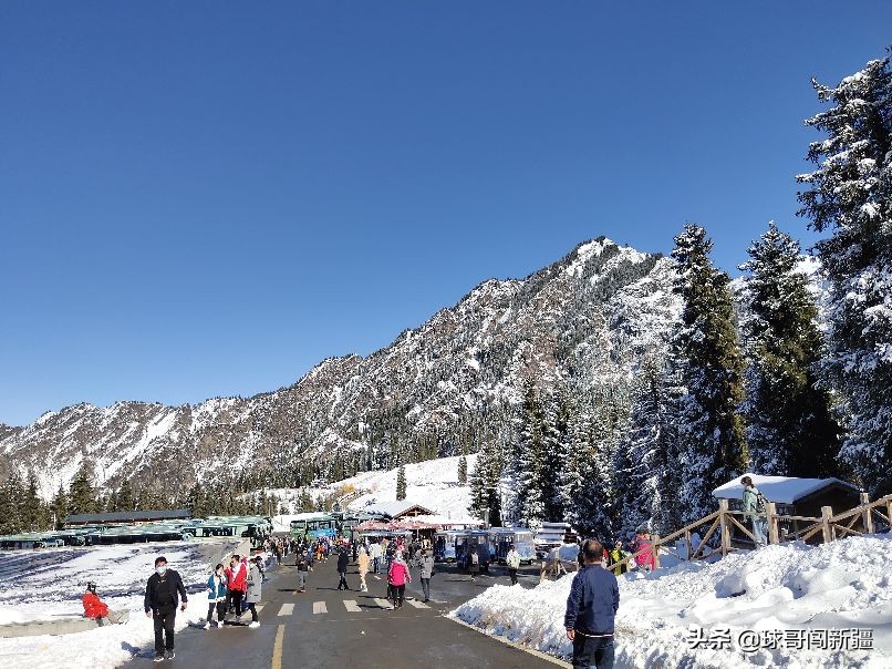 新疆棉花涨势,新疆棉花经济热点