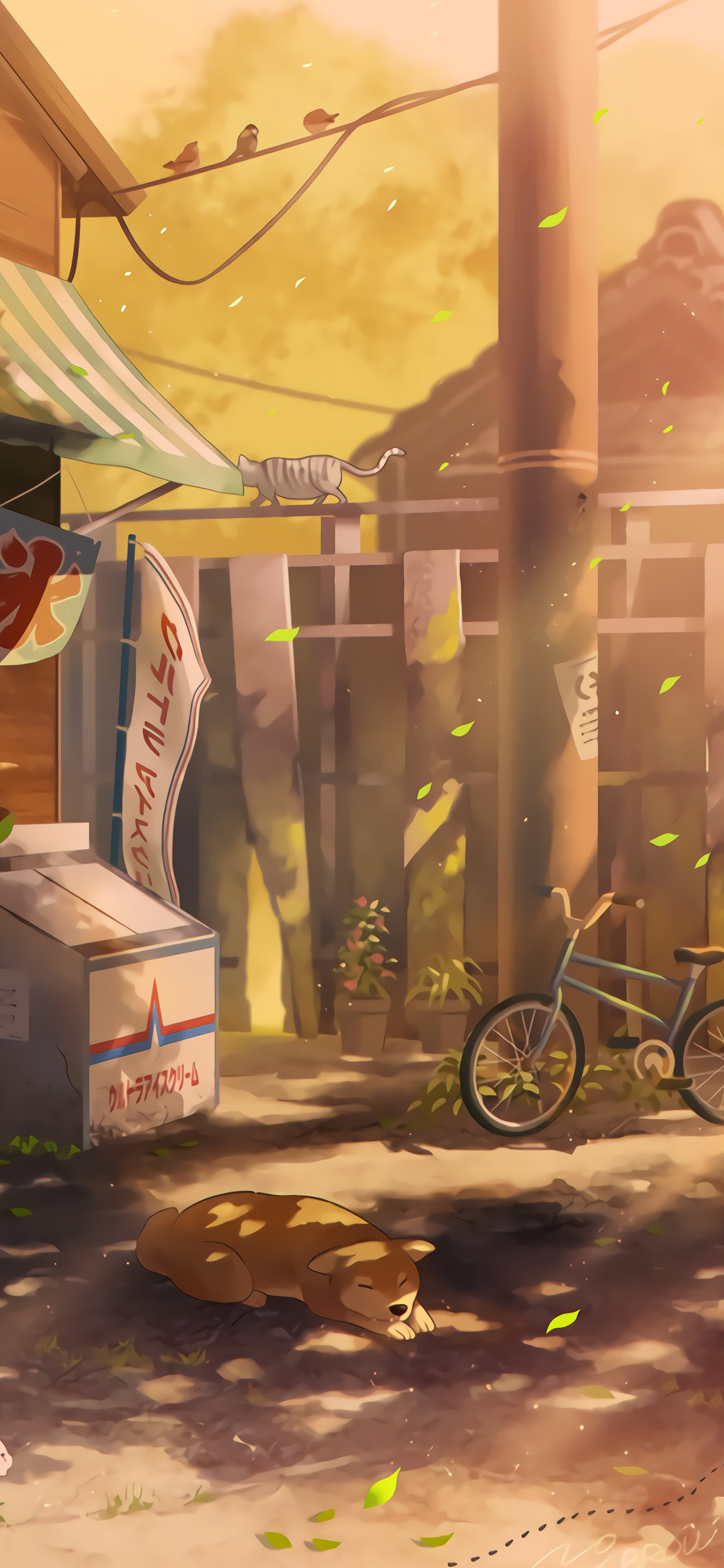 时代少年团少年感壁纸高清全屏,壁纸电脑超清全面屏时代少年团