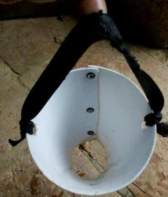 母猪生小猪咬小猪用什么办法,偏方治疗母猪咬小猪