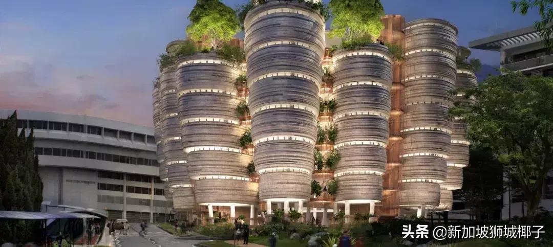 新加坡政府宣布多个新政,新加坡的新政策