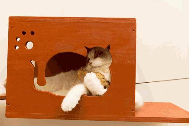 上海魔都十大网红店,魔都新店三万家这32家潮店必打卡