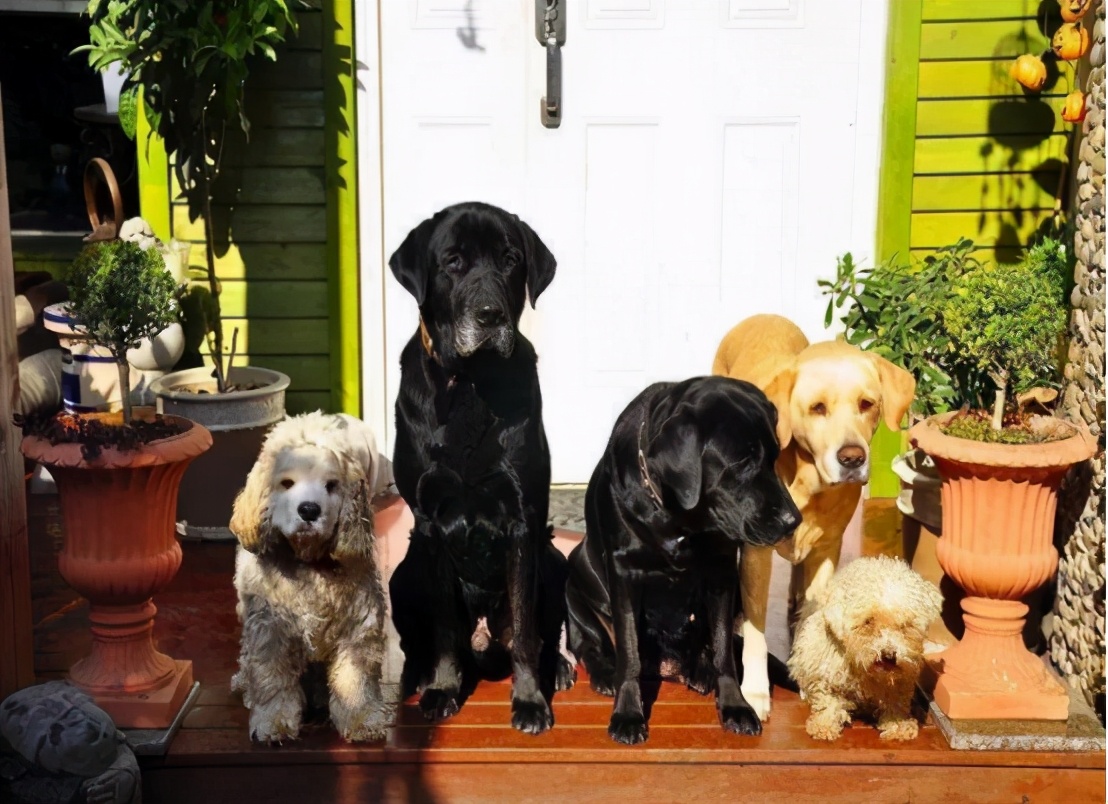 她40岁退休隐居,她40岁退休隐居无儿无女