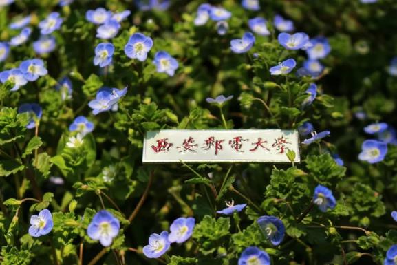 陕西女神学霸火了！大学就当班主任，将赴交大深造，包揽各类大奖