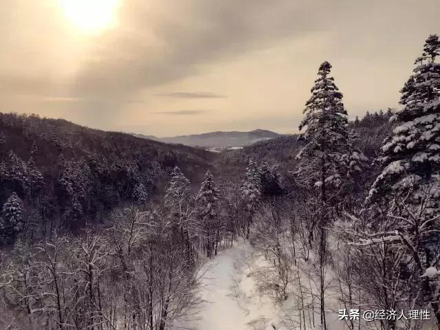 一位旅日游客,4天时间,万字长文,记录思考日本社会的崛起背后