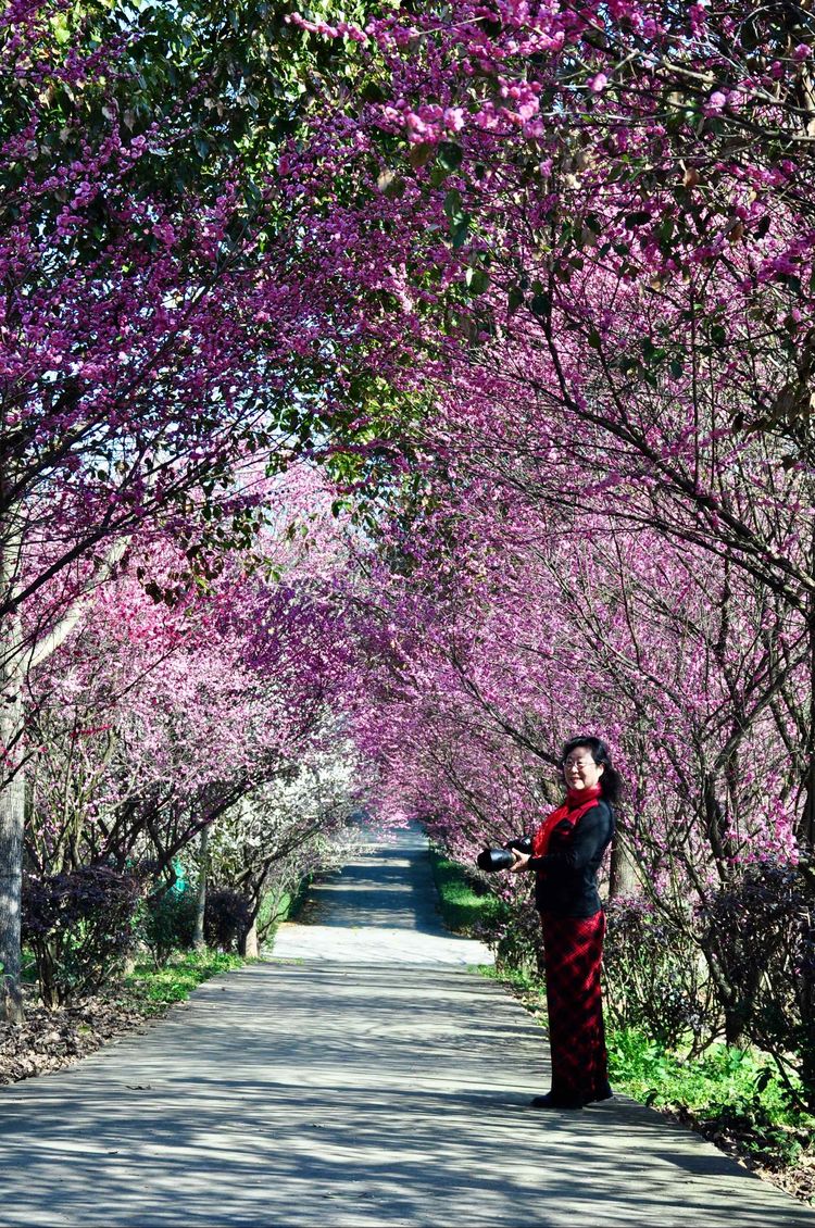 傅家边野营,走进金溪傅家村