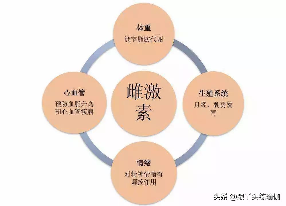 为什么腰围一直减不下来怎么减,腰围越来越粗怎么调理