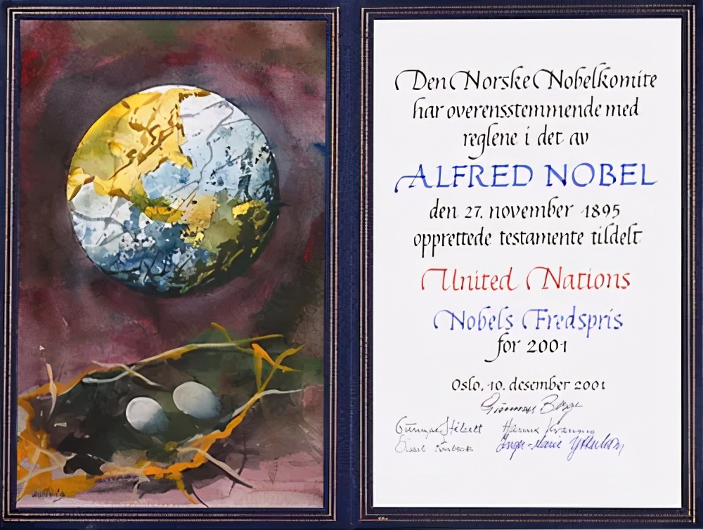 姜华专访|二十载联合国难忘历程：经历风雨，见证彩虹