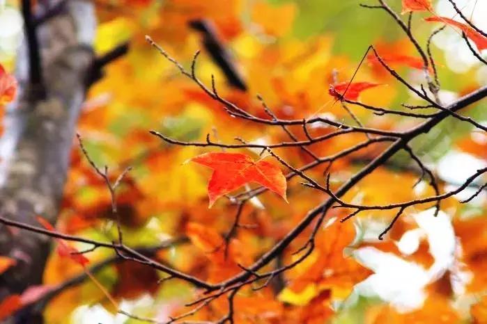 广西最想去的地方,广西最想去的8个地方