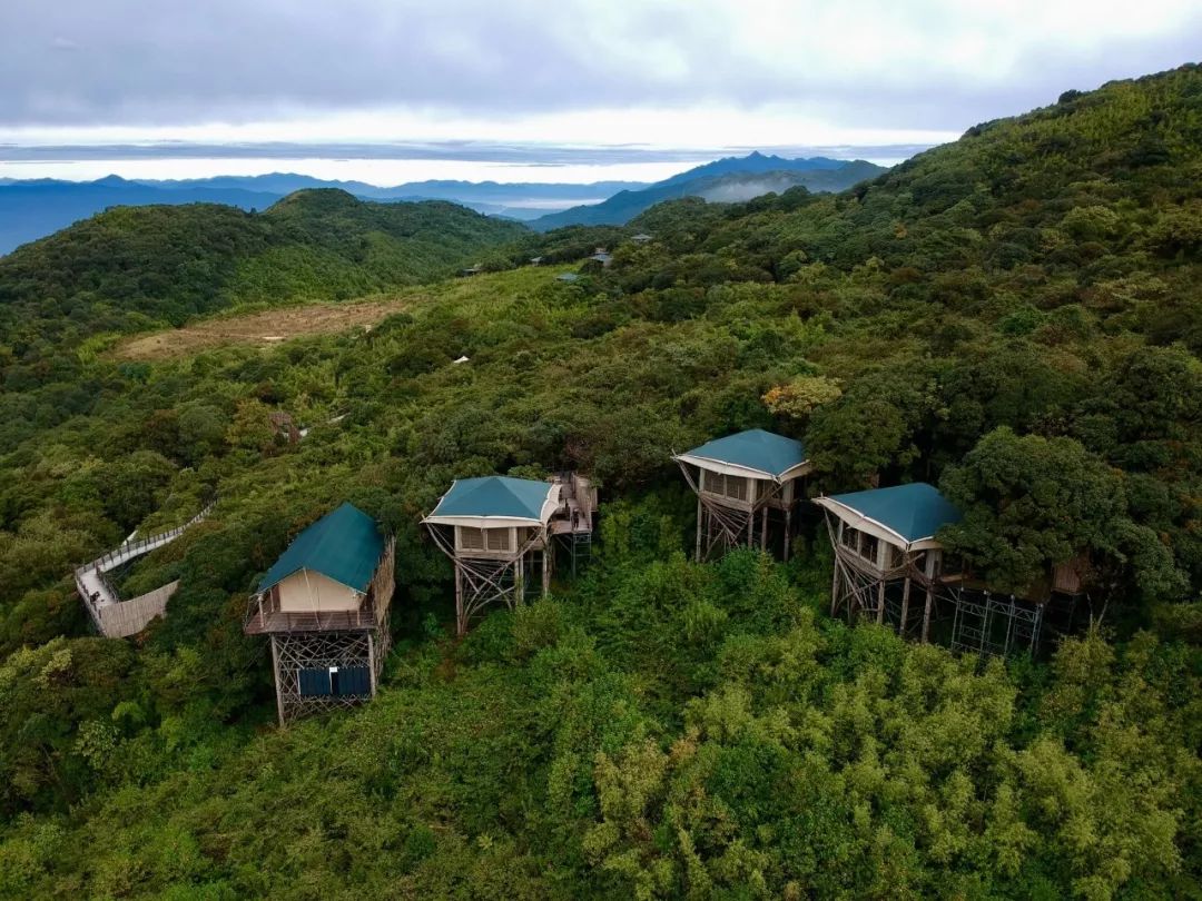 设计酒店推荐平价,国内十佳设计师酒店
