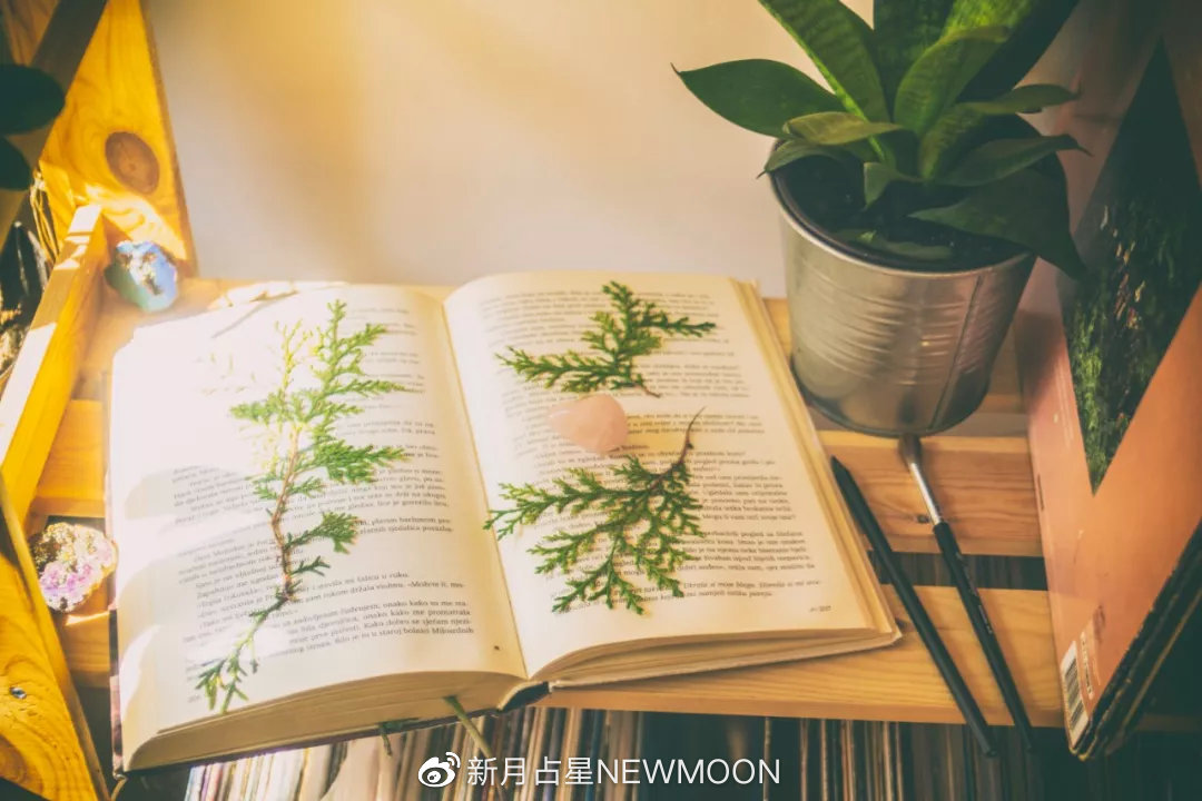 “金天蝎是信任他人，金金牛是被他人信任”｜7款金星的真实心声