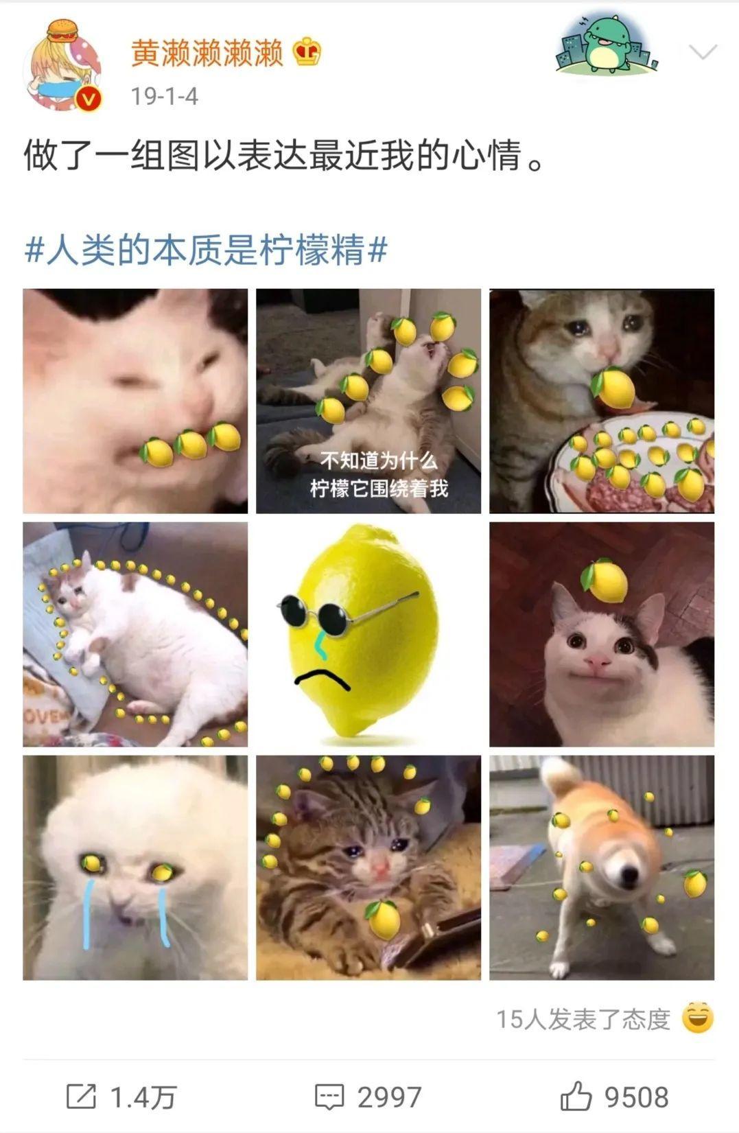 你们天天喊吃瓜吃瓜，那吃的这个瓜为什么是西瓜啊？