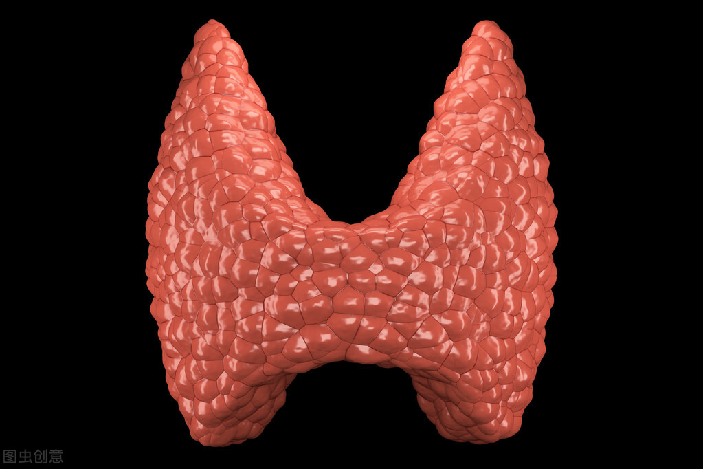 甲状腺没了对身体的影响,甲状腺没了对人身体的影响